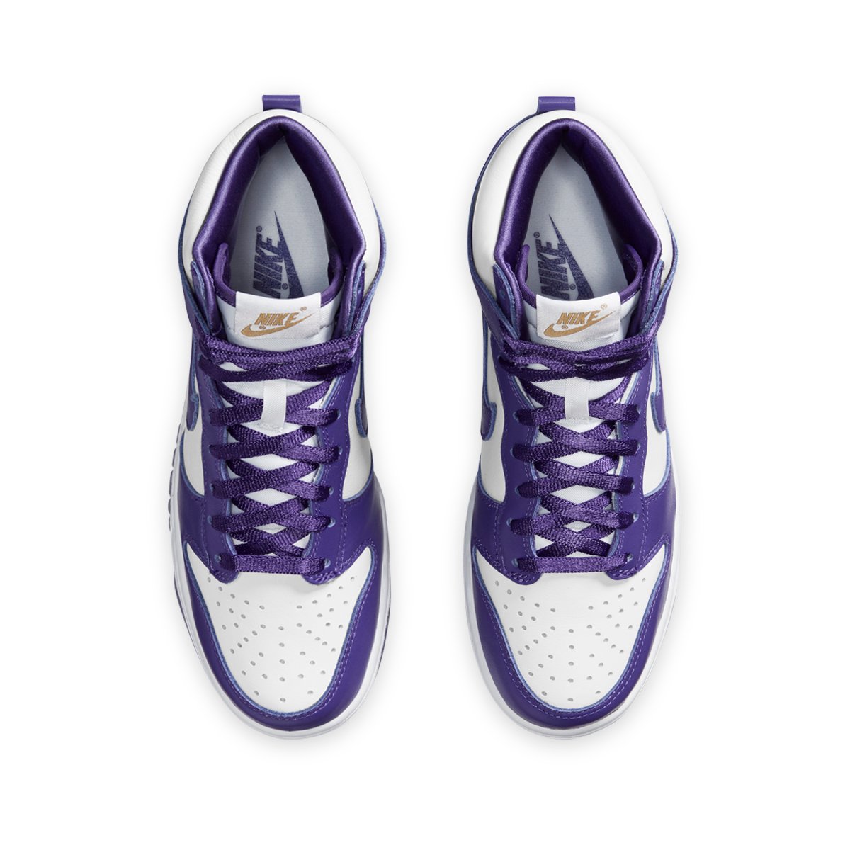 Womens Dunk HI SP 