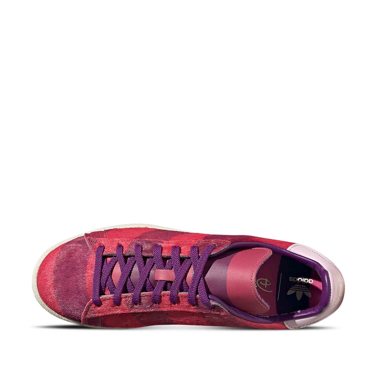 CAMPUS 80S CHESHIRE CAT SEMI SOLAR PINK/GLORY PURPLE/CREAM W Solar Pink |  SUBTYPE