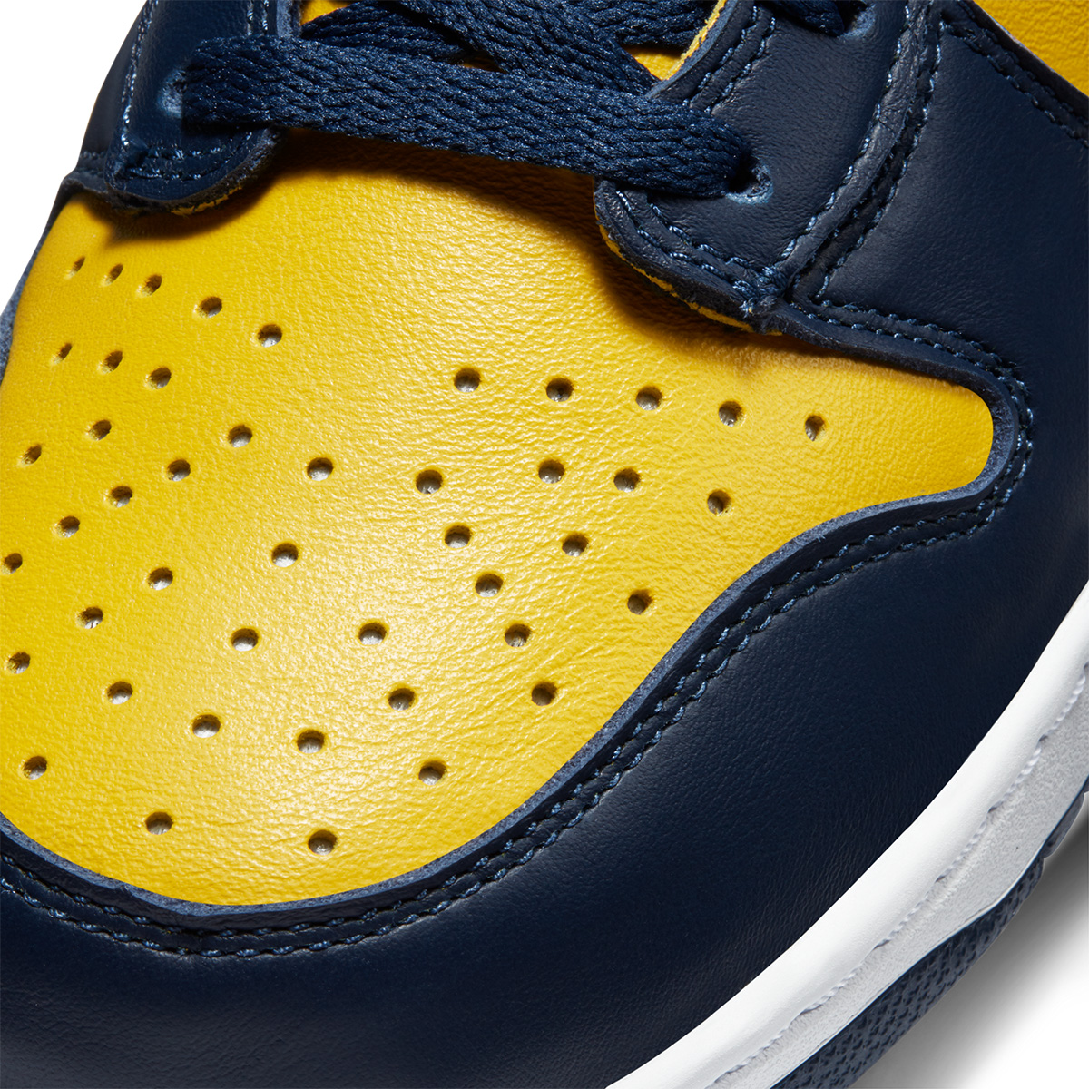 Nike Dunk Hi SP