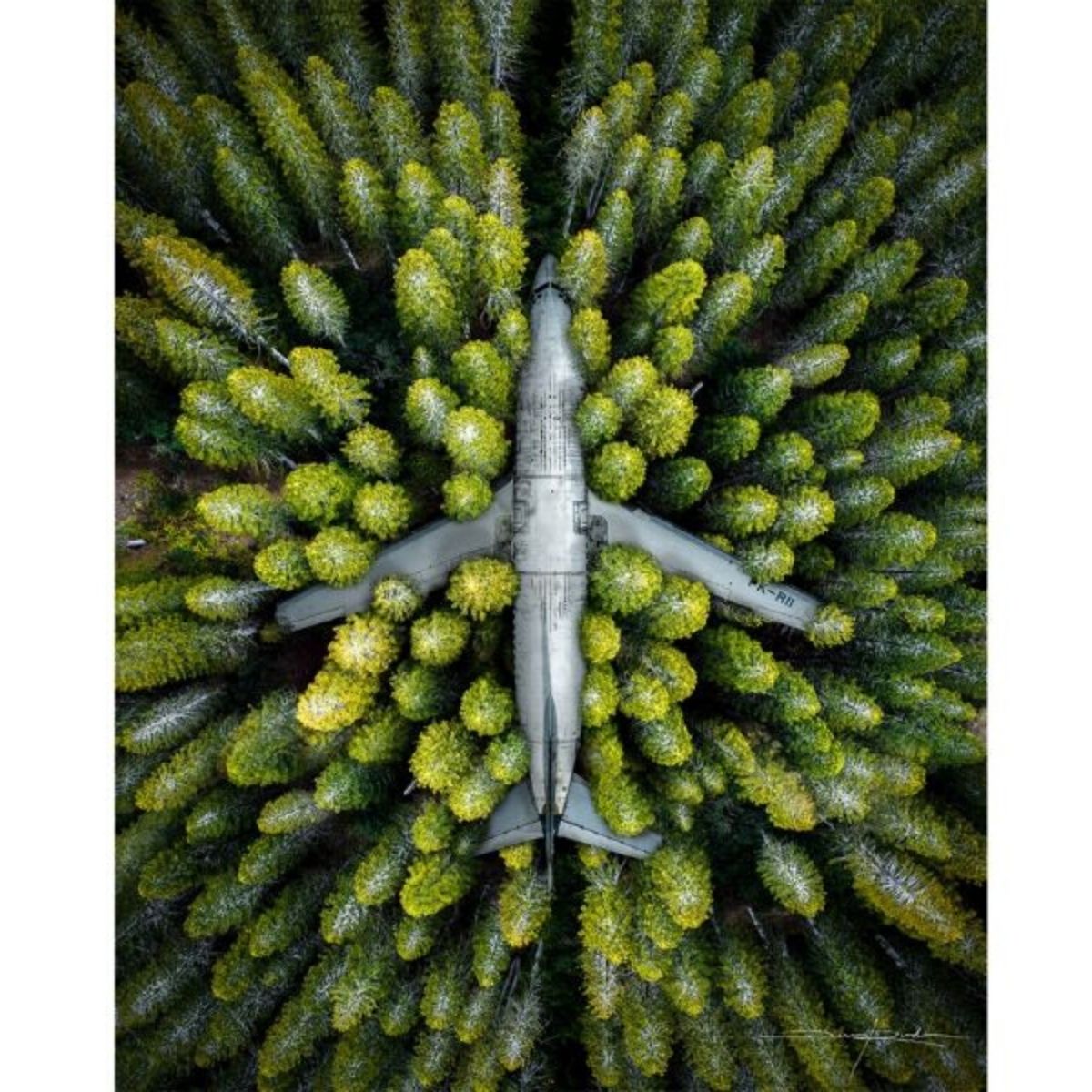 Salmon XT-WINGS 2 Advanced