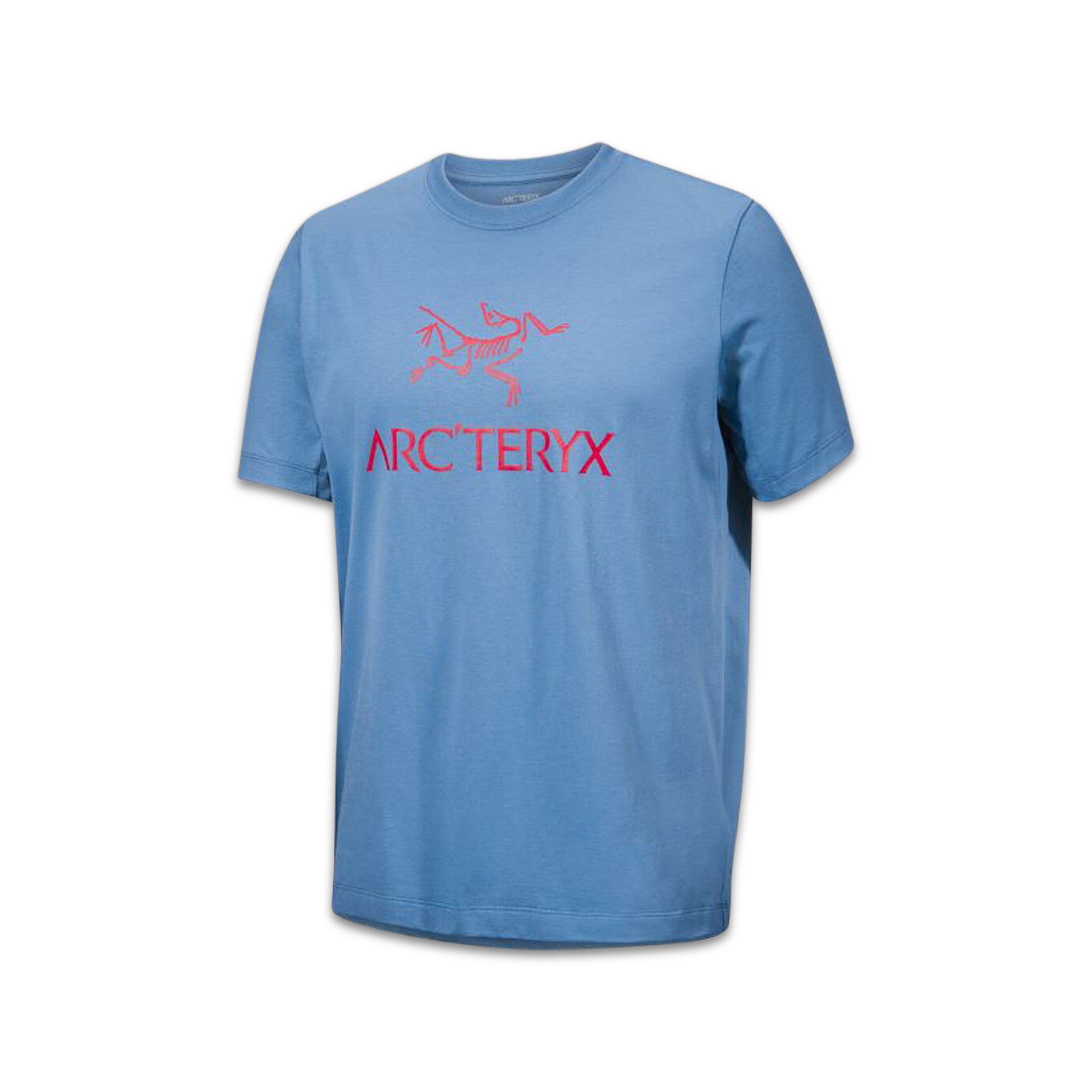 【希少】アークテリクス シールドロゴ Tシャツ L ヴィンテージ Y2K 青 Arc'Word Logo T-Shirt Stone Wash | SUBTYPE