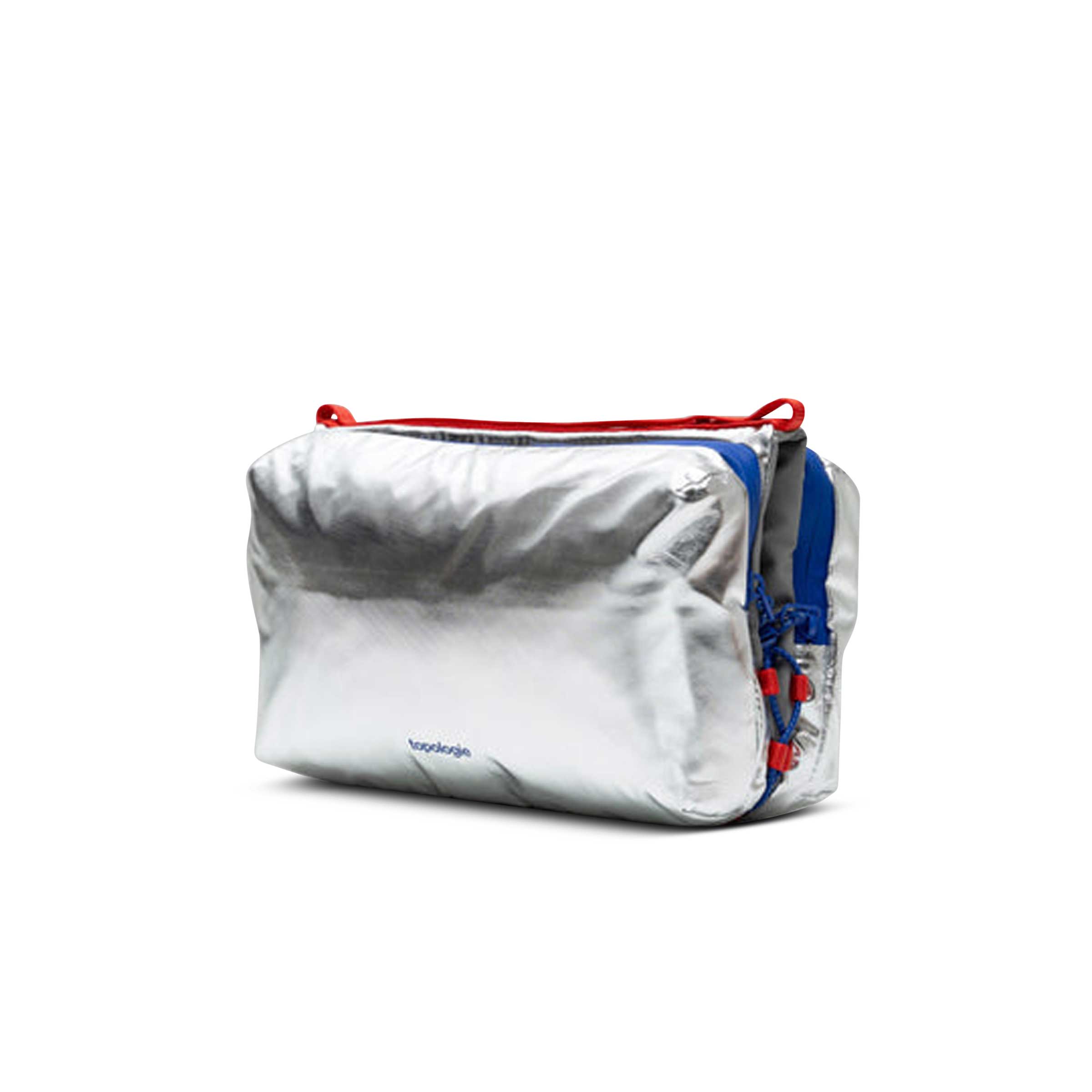 Bottle Sacoche Large Satellite | SUBTYPE