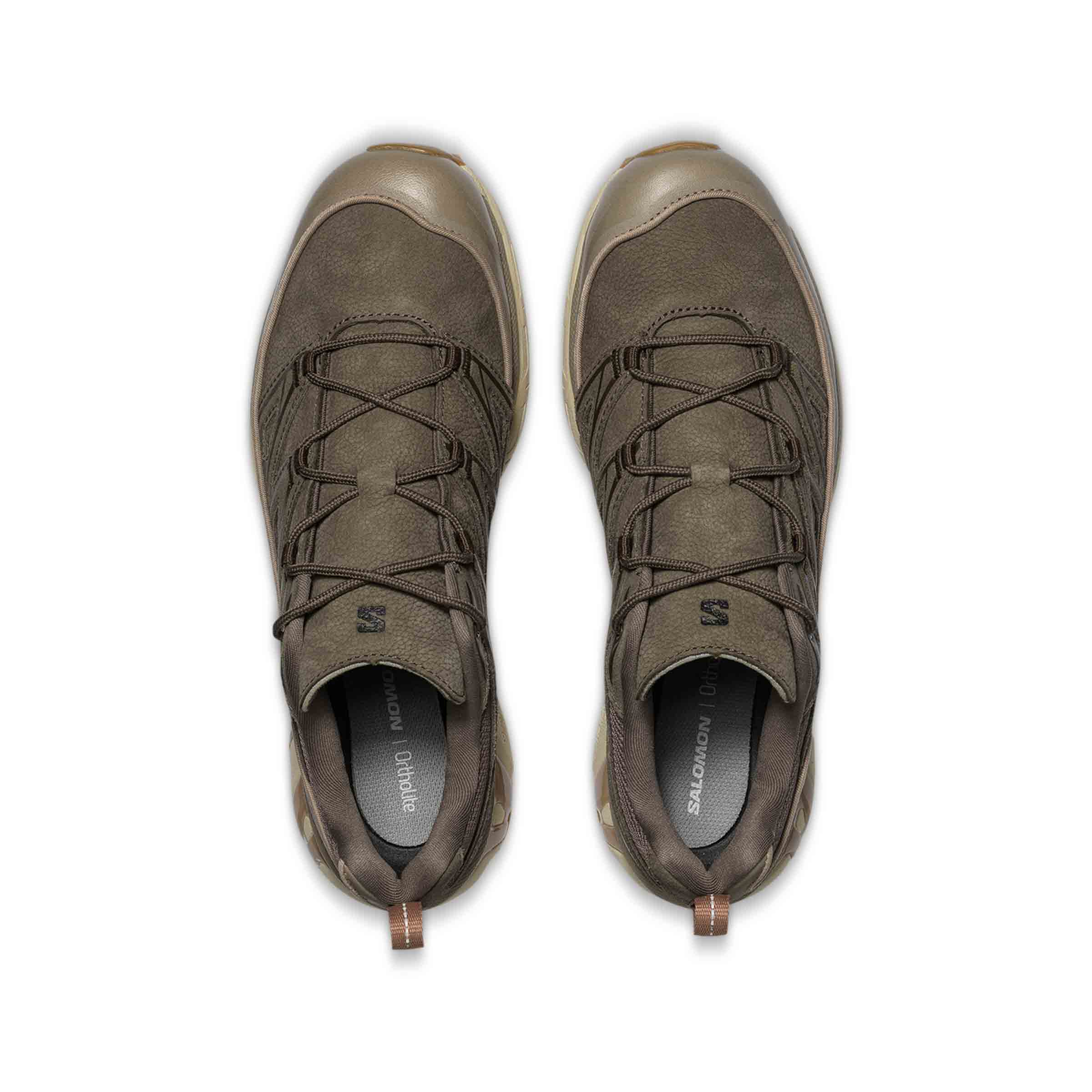 XT-6 EXPANSE LEATHER Bungee Cord / Wren / Almond Milk | SUBTYPE