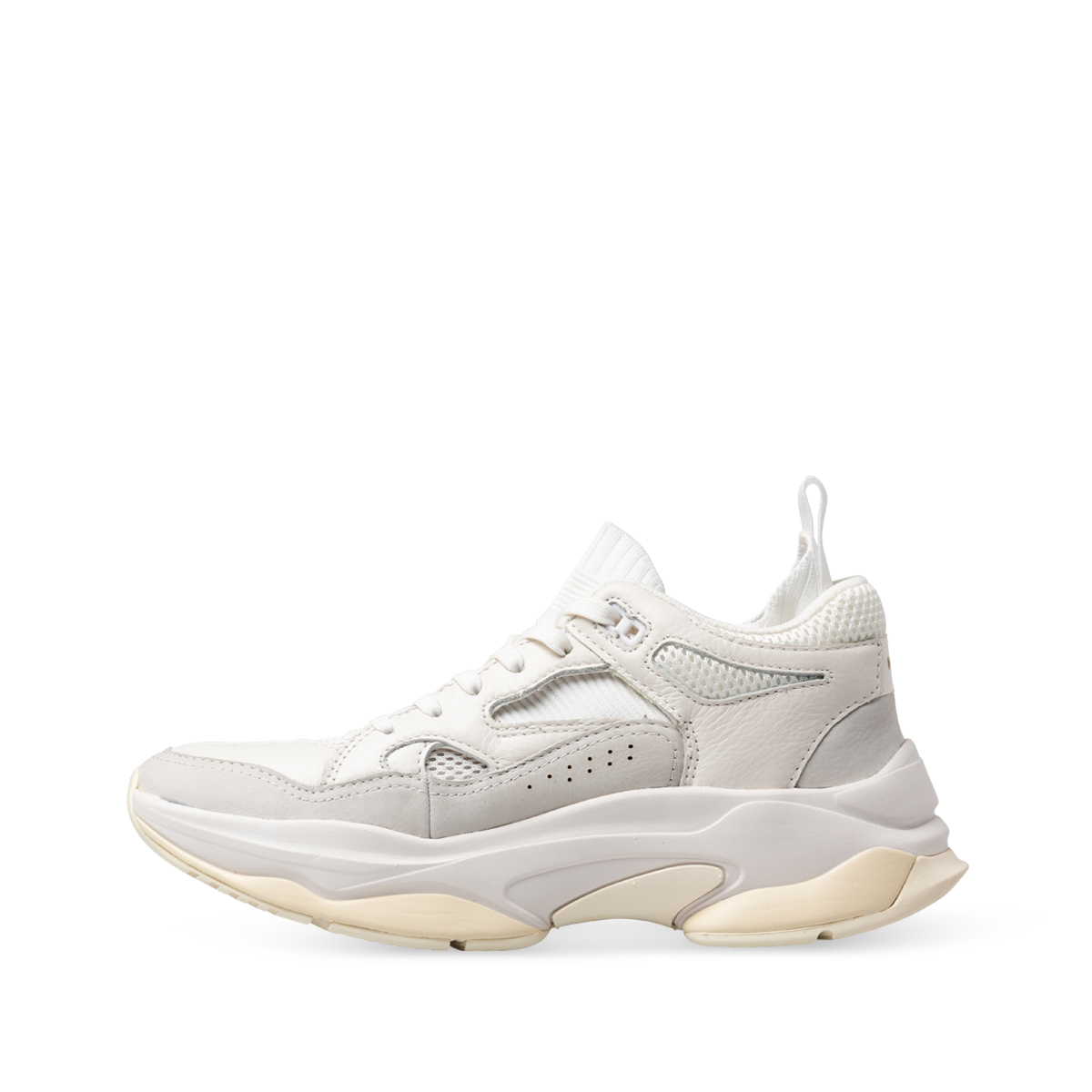 Brandblack Saga